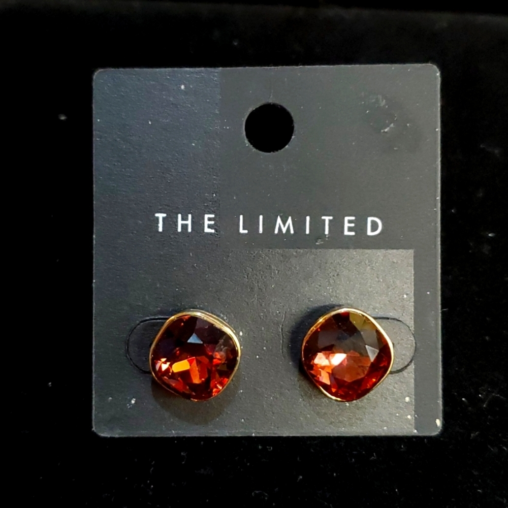 🔸️5/$25🔸️NWT The Limited Earrings
